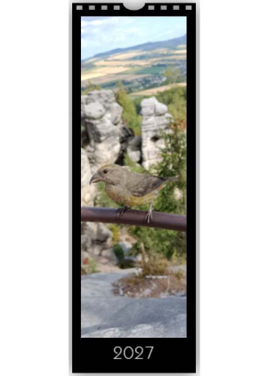 Vytvořte si vlastní fotokalendář – osobní dárek plný vzpomínek. - Černý