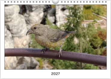 Vytvořte si vlastní fotokalendář – osobní dárek plný vzpomínek. - Bílý v rámečku